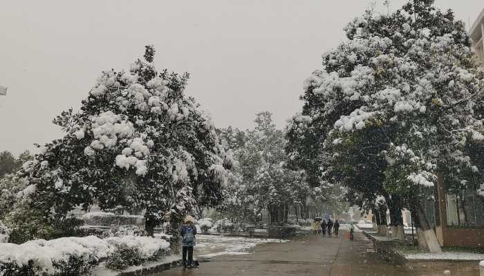 今明起黑龙江中部自北向南再现降雪 哈尔滨等部分地区多云有阵雪