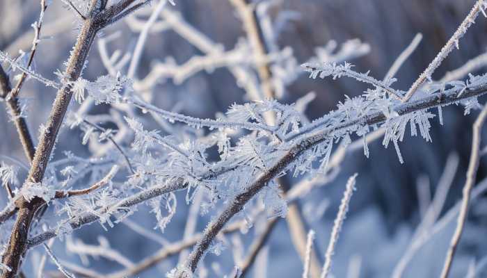 西藏青海将有雨夹雪天气 广西广东等地有暴雨