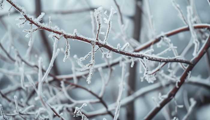 全国未来十天天气预报：南方地区多阴雨天气中旬后期冷空气势力增强